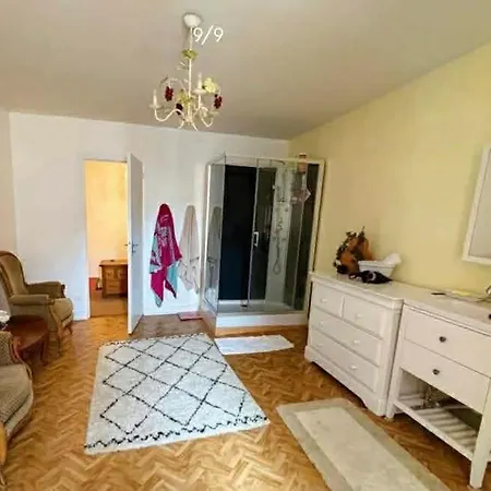 Vila Grande Demeure En Pierre- De Charme 16 Pers Cirey-sur-Blaise